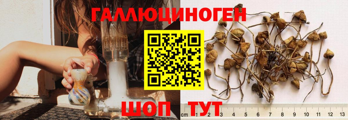А ПВП Старая Купавна