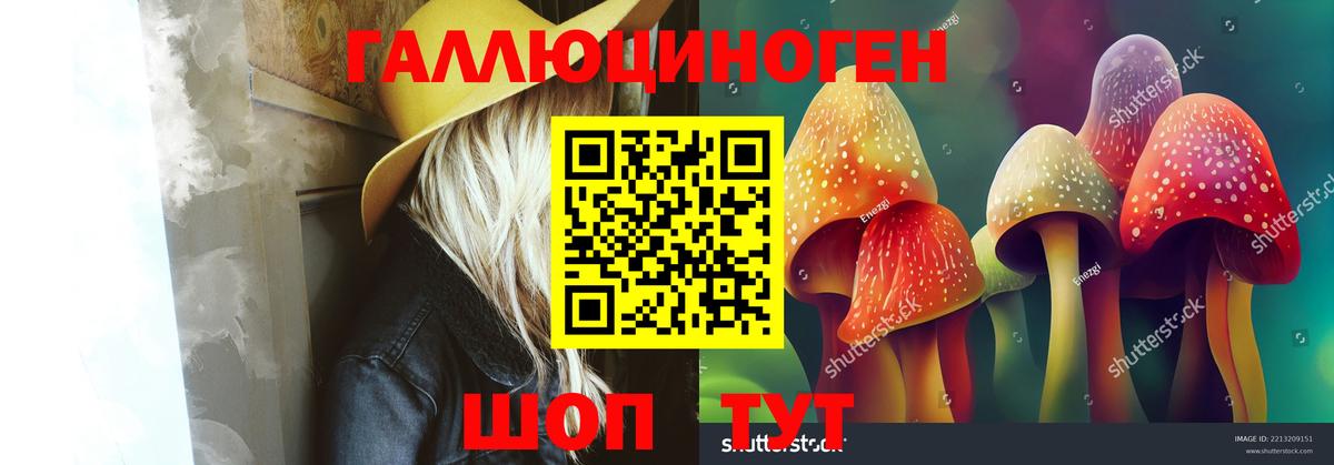 Галлюциногенные грибы Cubensis Старая Купавна